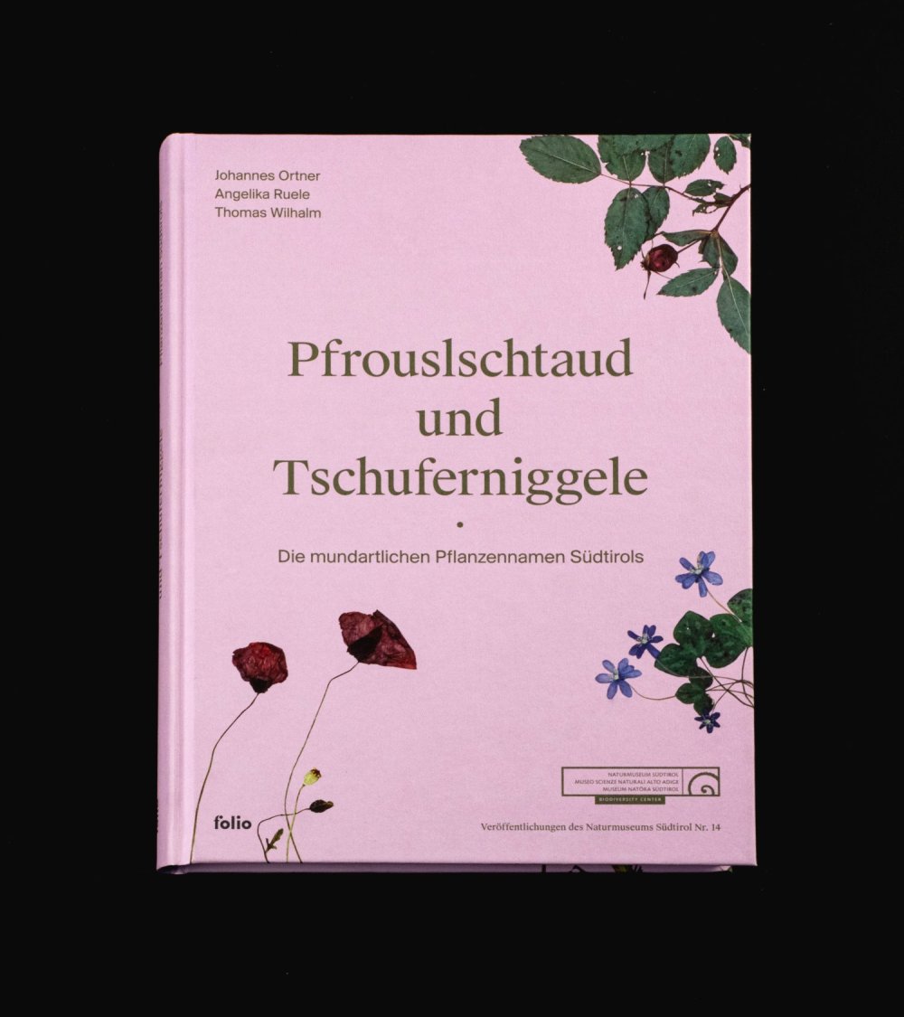 Das Pflanzenbuch "Pfrouslschtaud & Tschuferniggele" 